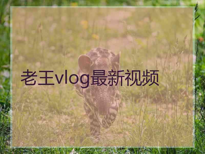 老王vlog最新视频