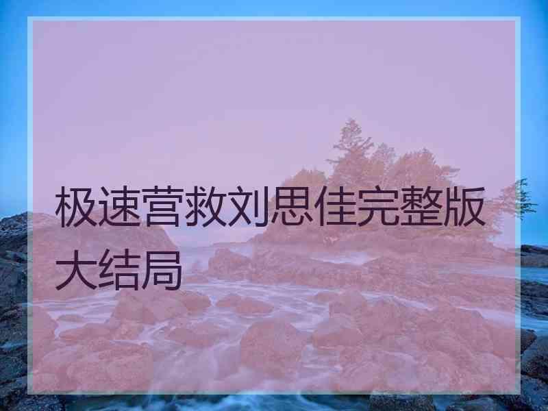 极速营救刘思佳完整版大结局