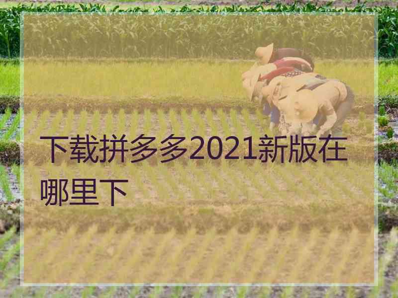 下载拼多多2021新版在哪里下