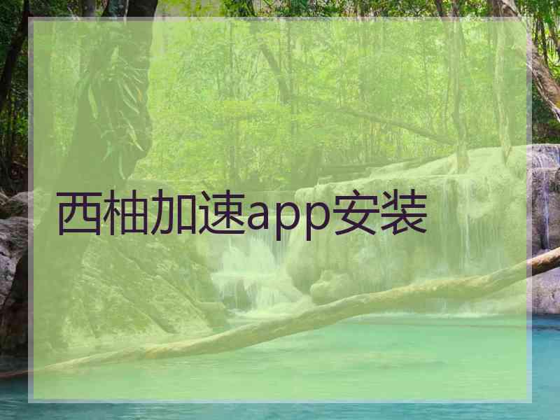 西柚加速app安装