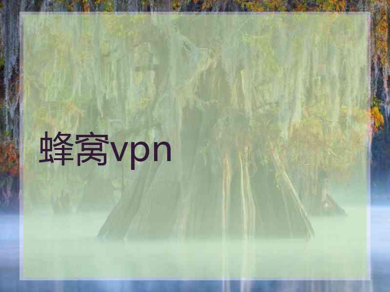 蜂窝vpn