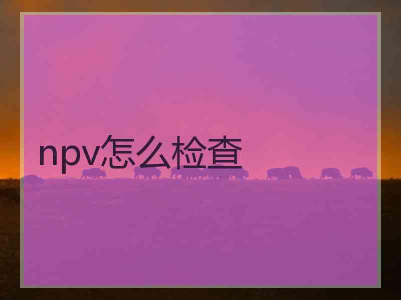 npv怎么检查