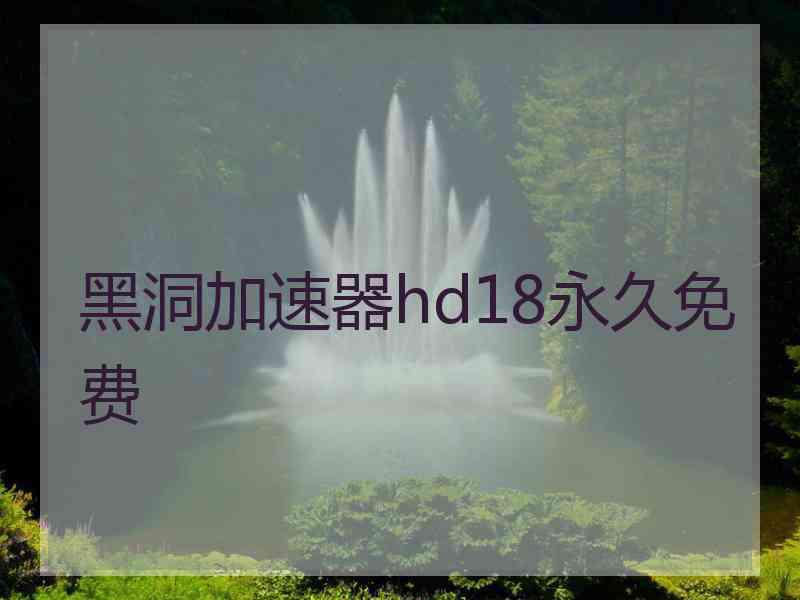 黑洞加速器hd18永久免费