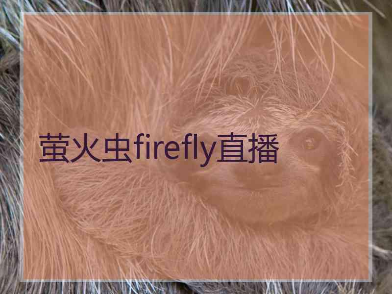 萤火虫firefly直播