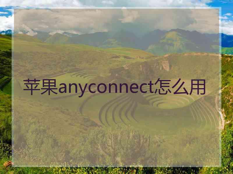 苹果anyconnect怎么用