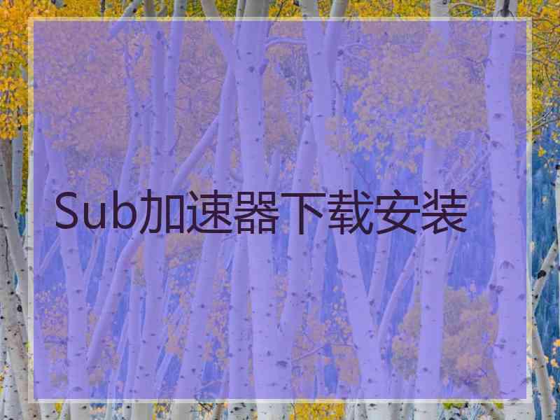 Sub加速器下载安装