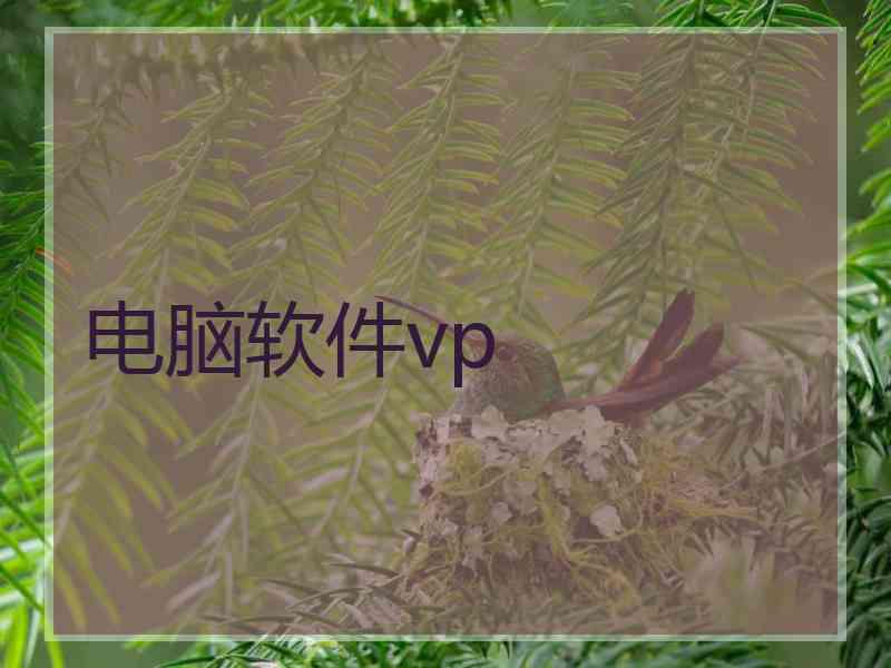 电脑软件vp