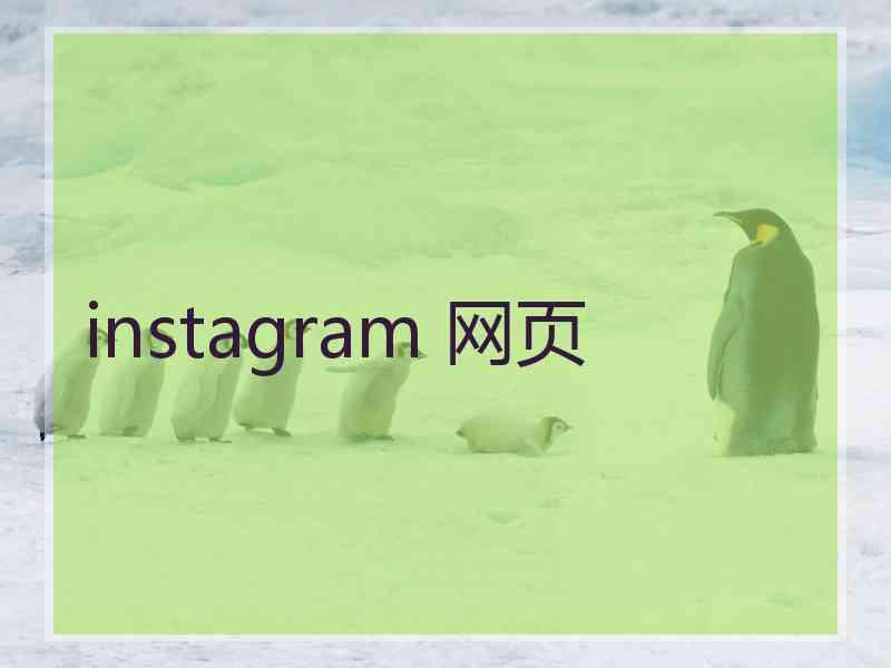 instagram 网页