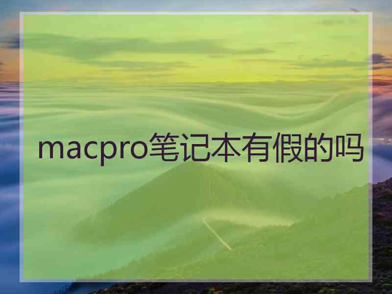 macpro笔记本有假的吗