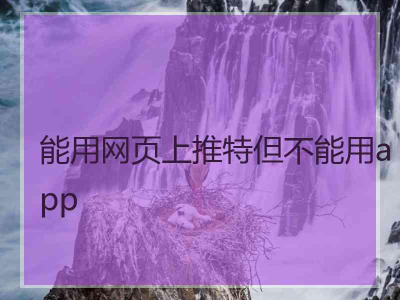 能用网页上推特但不能用app