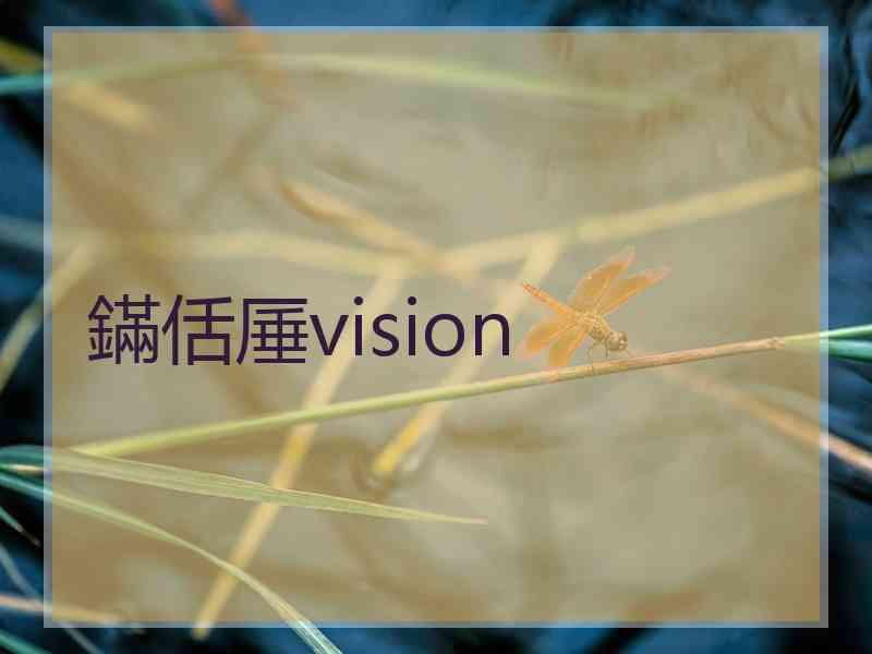 鏋佸厜vision