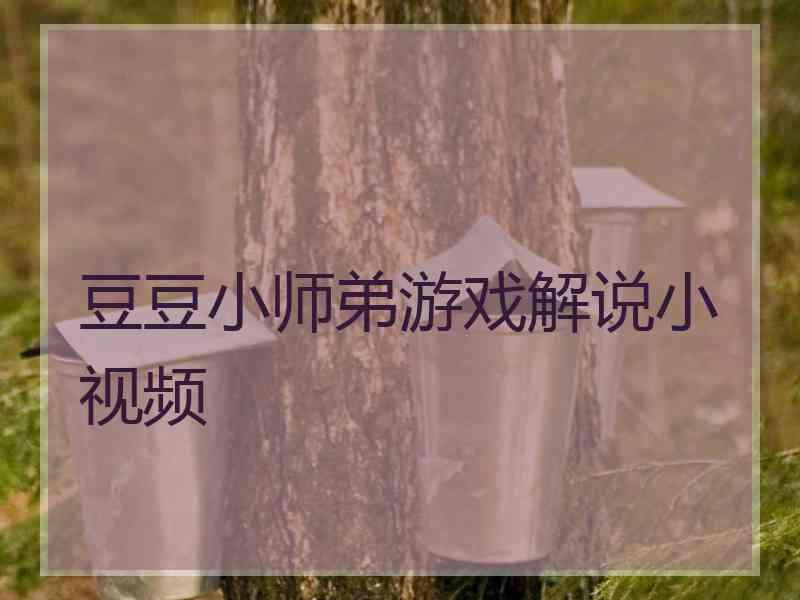 豆豆小师弟游戏解说小视频