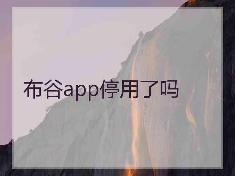 布谷app停用了吗