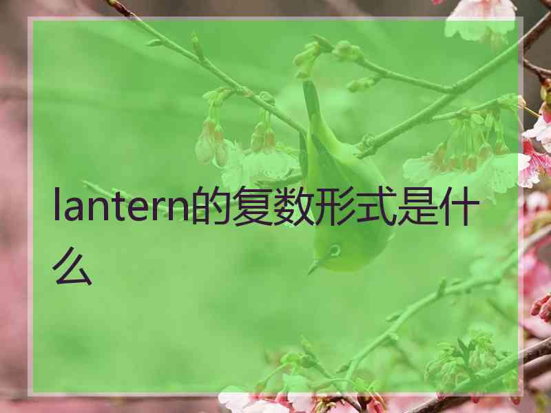 lantern的复数形式是什么