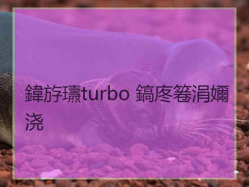 鍏斿瓙turbo 鎬庝箞涓嬭浇