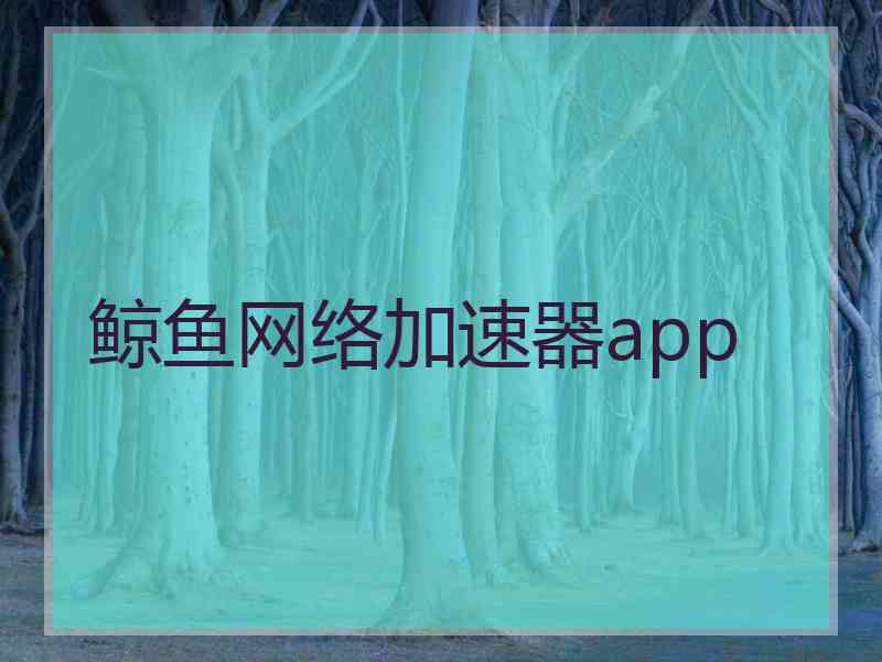 鲸鱼网络加速器app