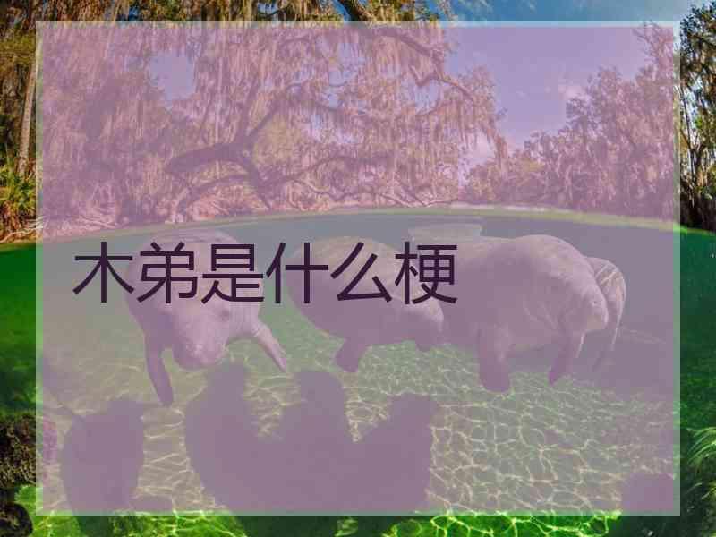 木弟是什么梗