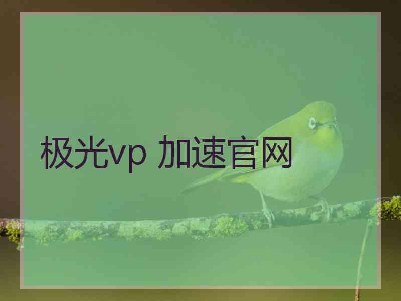 极光vp 加速官网