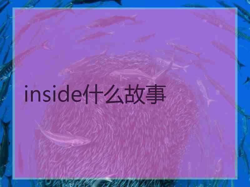 inside什么故事