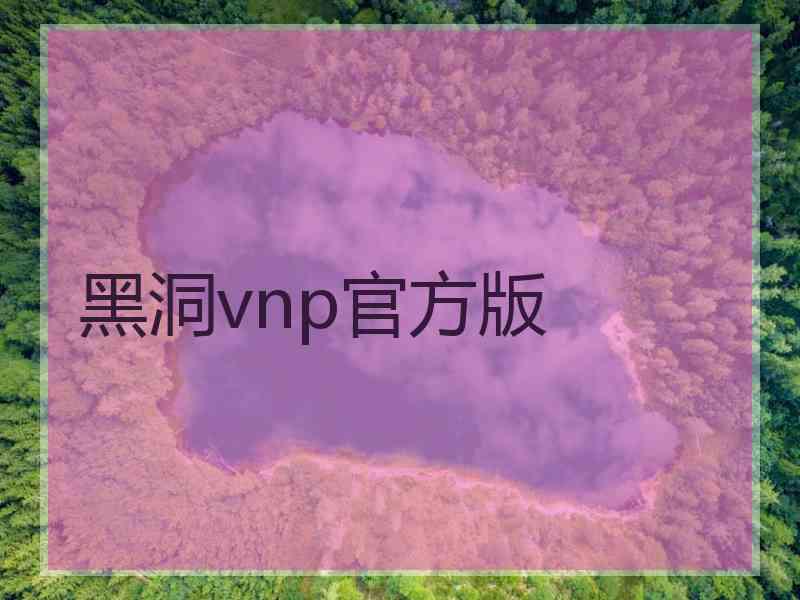 黑洞vnp官方版