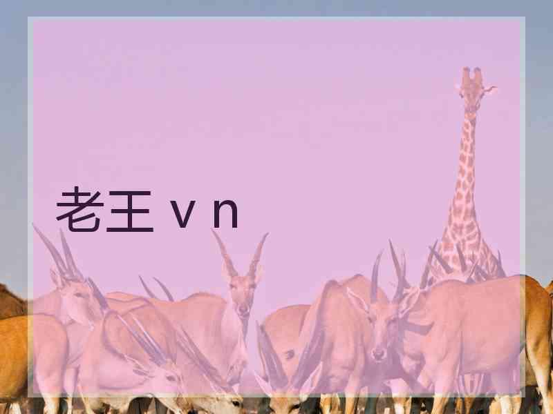 老王 v n