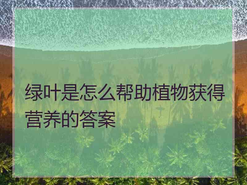 绿叶是怎么帮助植物获得营养的答案