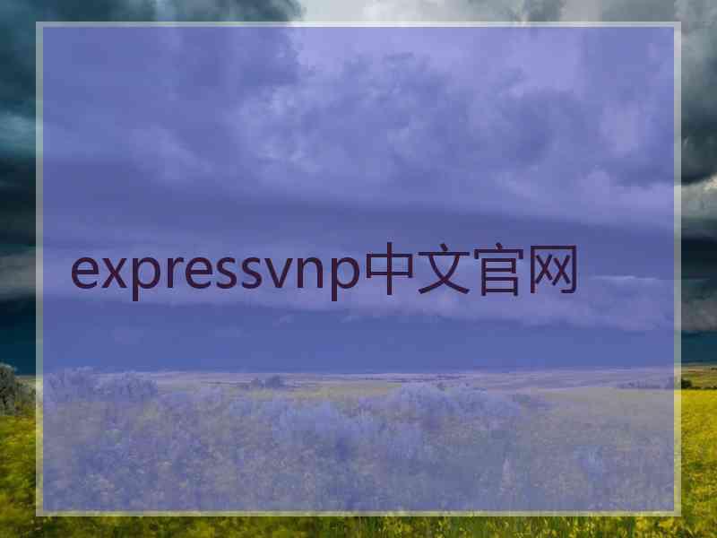 expressvnp中文官网