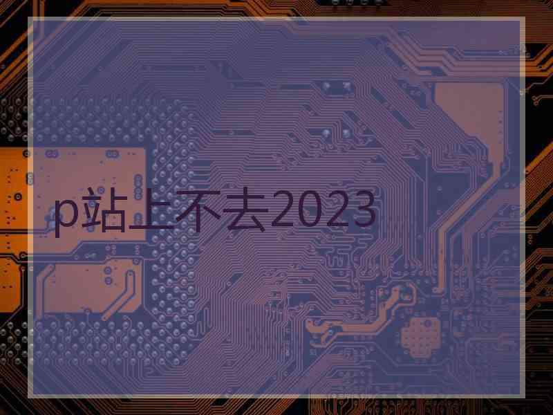 p站上不去2023