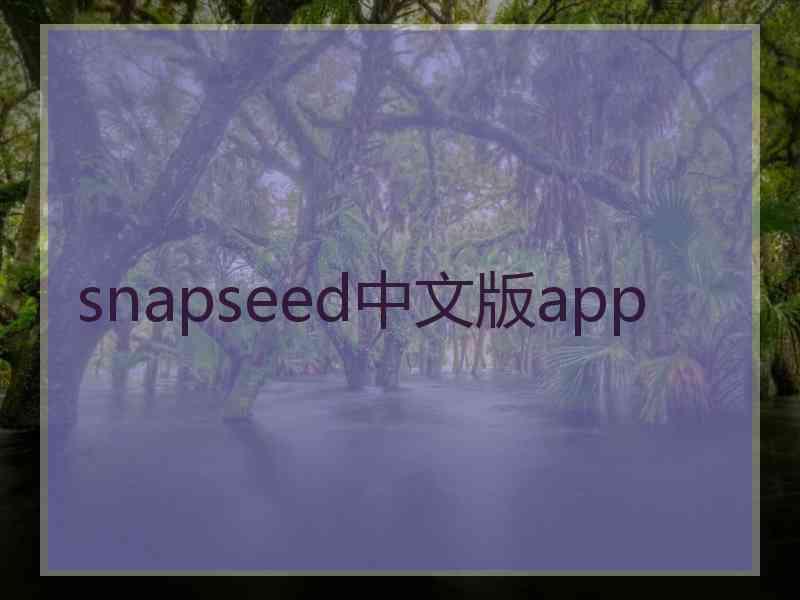 snapseed中文版app