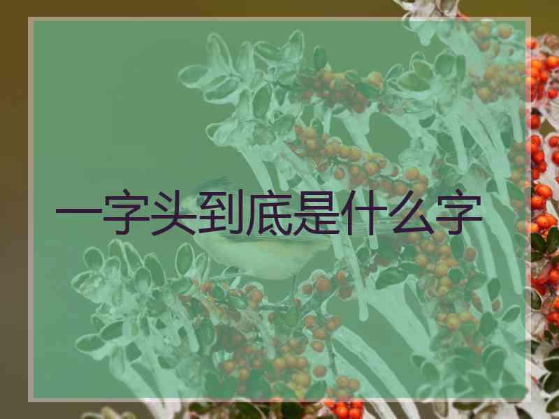 一字头到底是什么字