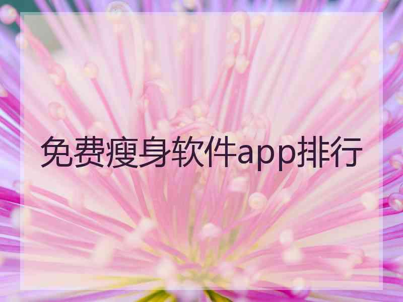 免费瘦身软件app排行