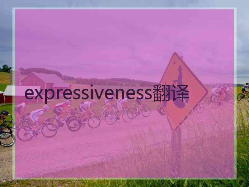 expressiveness翻译