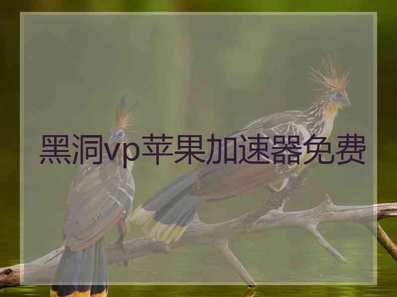 黑洞vp苹果加速器免费