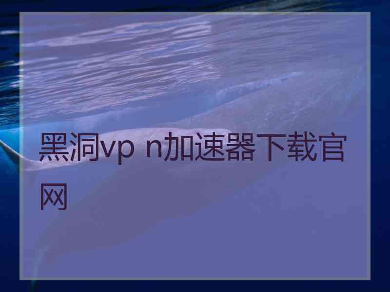 黑洞vp n加速器下载官网