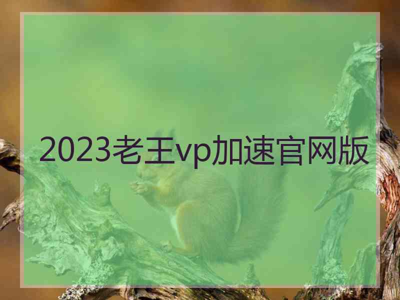 2023老王vp加速官网版