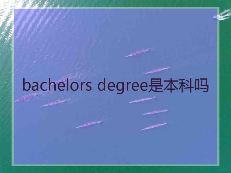 bachelors degree是本科吗