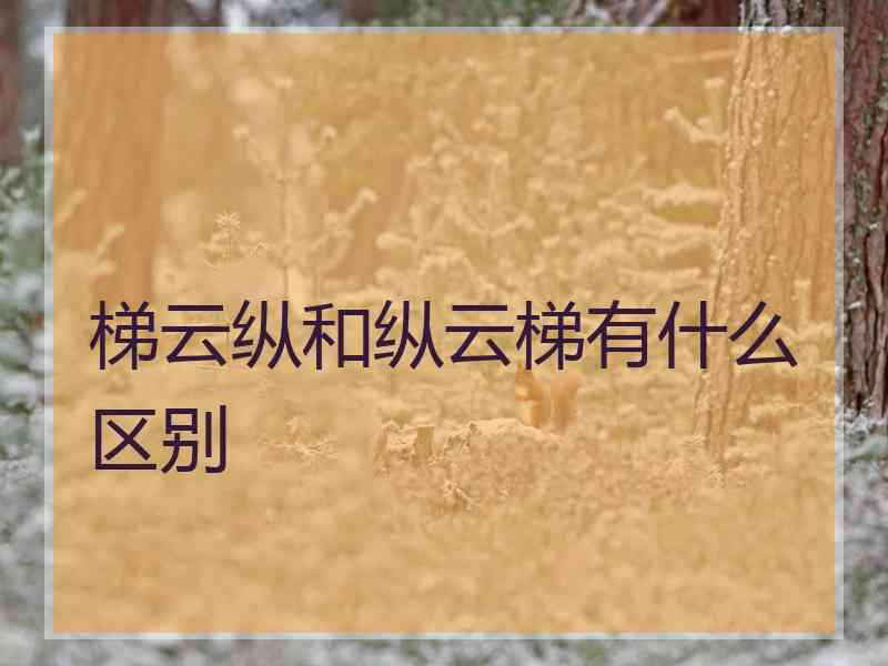 梯云纵和纵云梯有什么区别