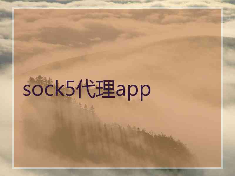 sock5代理app