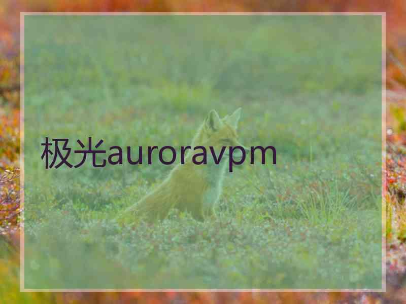 极光auroravpm