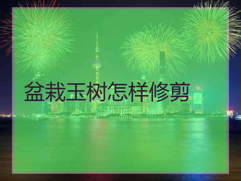 盆栽玉树怎样修剪