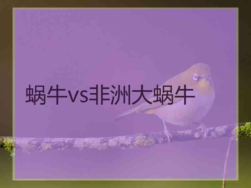 蜗牛vs非洲大蜗牛