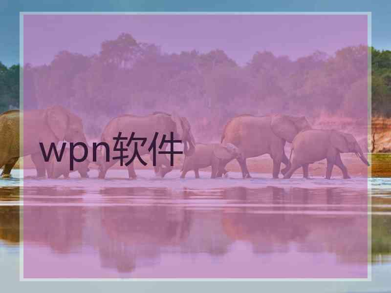 wpn软件