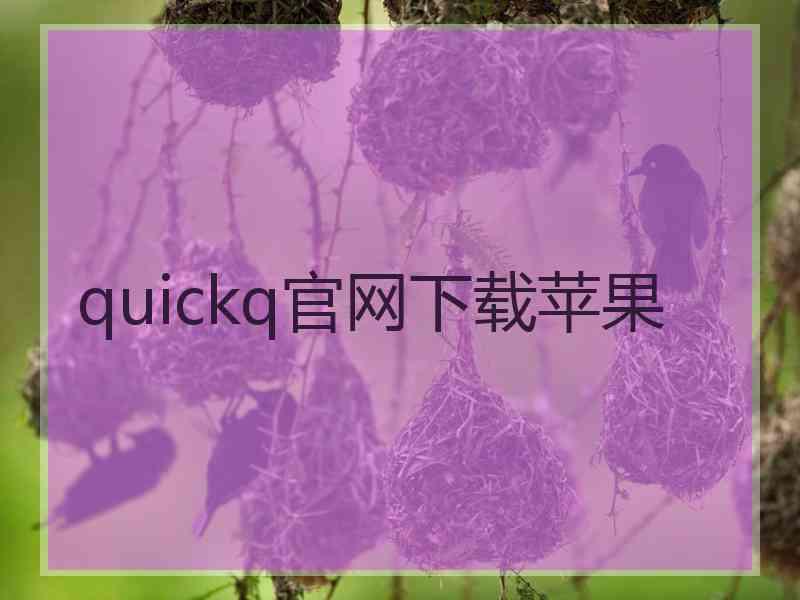 quickq官网下载苹果