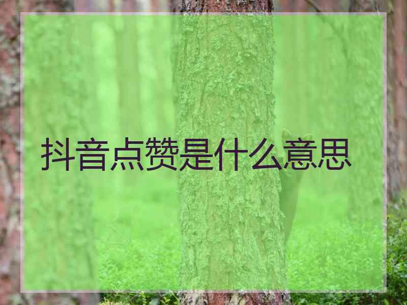 抖音点赞是什么意思