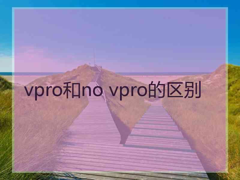 vpro和no vpro的区别