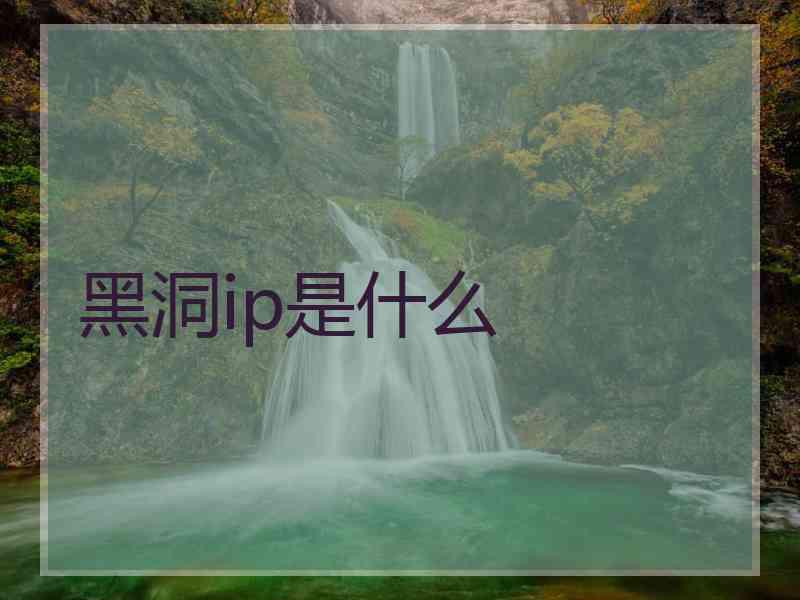 黑洞ip是什么